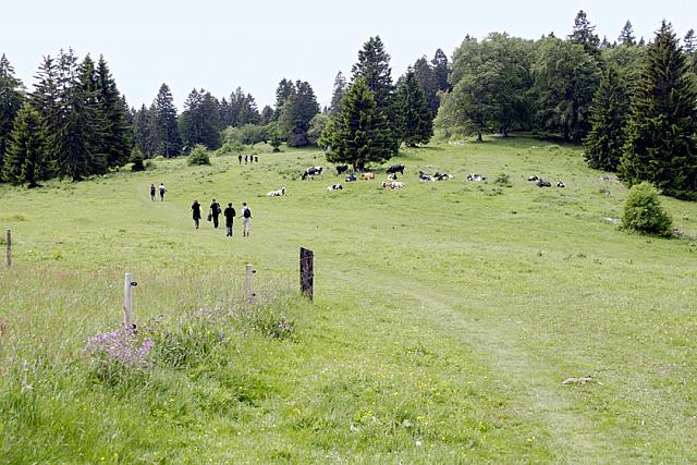 MeliGedenktour 090530-18