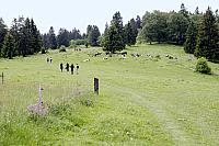 MeliGedenktour 090530-18